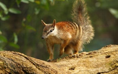 HLA Survey 2026 – Share your thoughts to help us improve via this quick survey