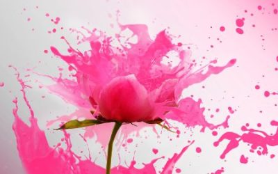 LESSS – Free online Library Evidence Synthesis Services Symposium (Jun 15-18)